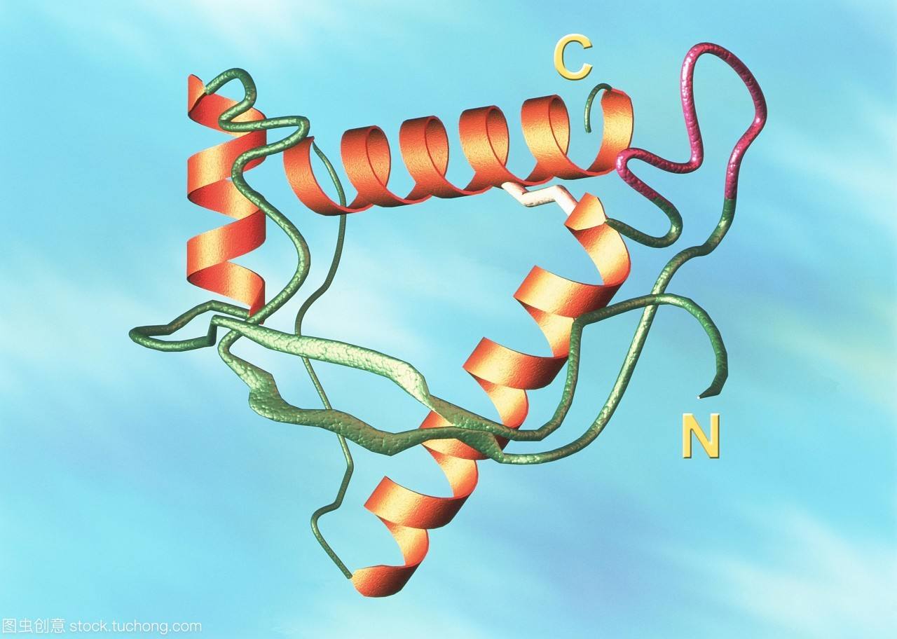 朊病毒是不是生物