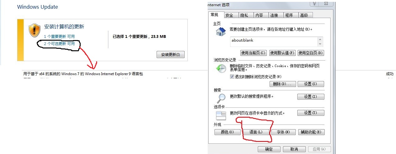 怎样可以把internet explorer 9的语言调成中文？