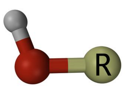 酚羟基是什么?
