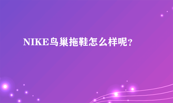 NIKE鸟巢拖鞋怎么样呢？