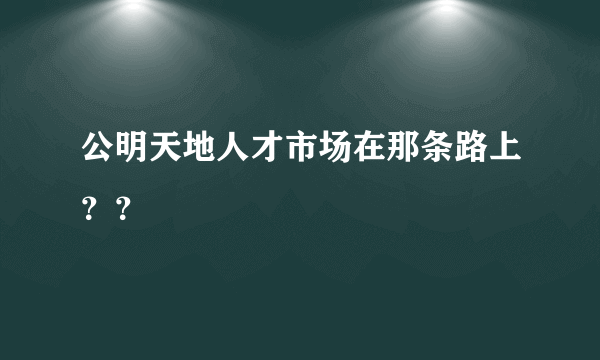 公明天地人才市场在那条路上？？