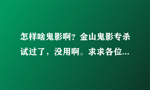 怎样啥鬼影啊？金山鬼影专杀试过了，没用啊。求求各位大虾们!!!55555