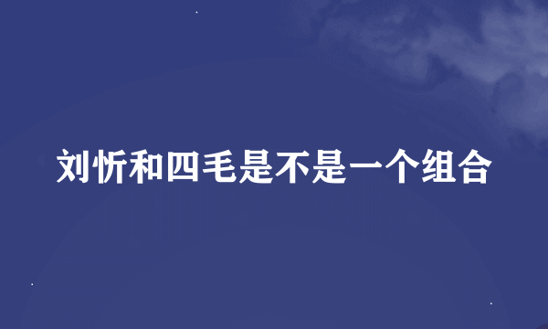 刘忻和四毛是不是一个组合