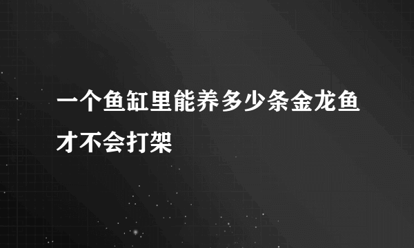 一个鱼缸里能养多少条金龙鱼才不会打架