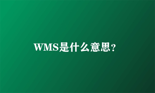 WMS是什么意思？