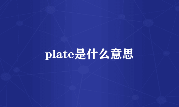 plate是什么意思