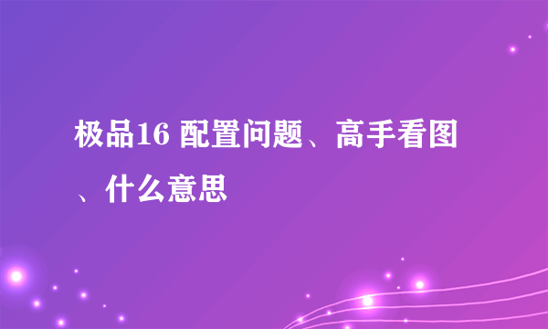 极品16 配置问题、高手看图、什么意思