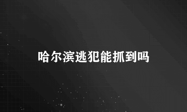 哈尔滨逃犯能抓到吗