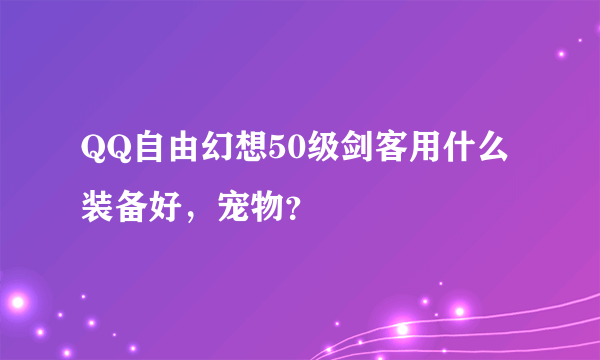 QQ自由幻想50级剑客用什么装备好，宠物？