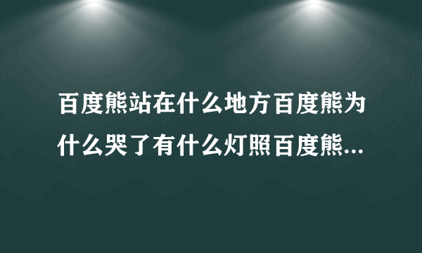 百度熊站在什么地方百度熊为什么哭了有什么灯照百度熊是几年大电影是什么