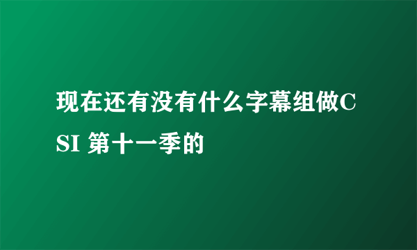 现在还有没有什么字幕组做CSI 第十一季的