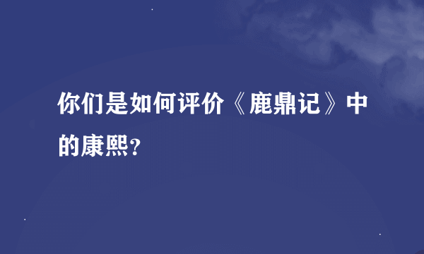 你们是如何评价《鹿鼎记》中的康熙？