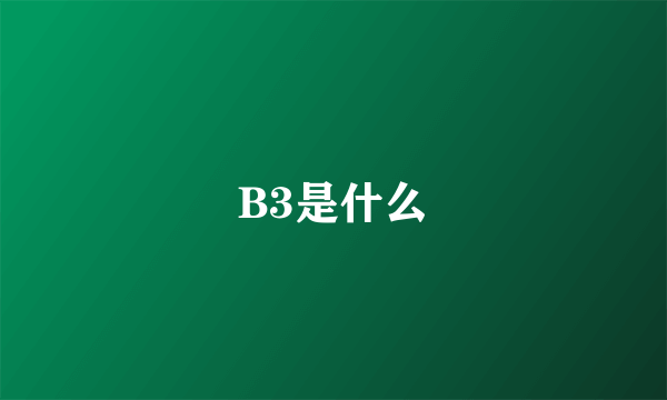 B3是什么