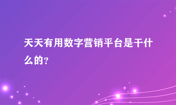 天天有用数字营销平台是干什么的？