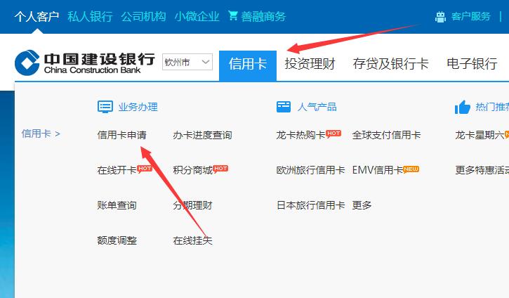 建设银行信用卡可以网上申请吗？