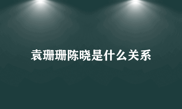 袁珊珊陈晓是什么关系