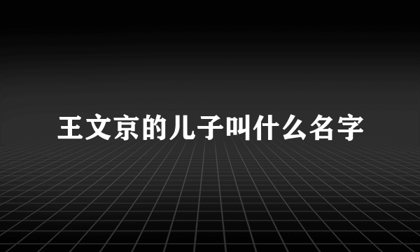 王文京的儿子叫什么名字