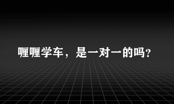 喱喱学车，是一对一的吗？