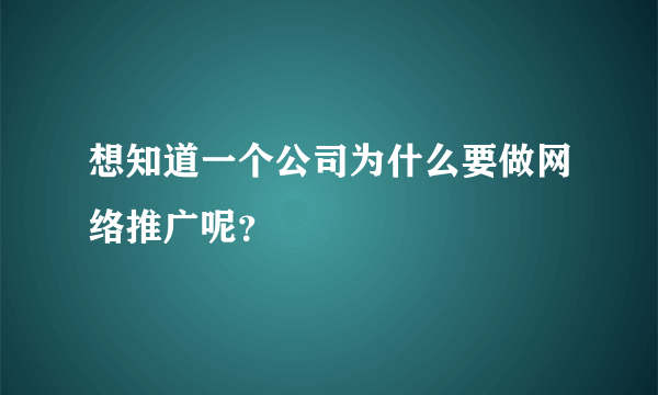 想知道一个公司为什么要做网络推广呢？