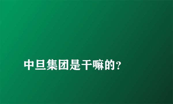 
中旦集团是干嘛的？
