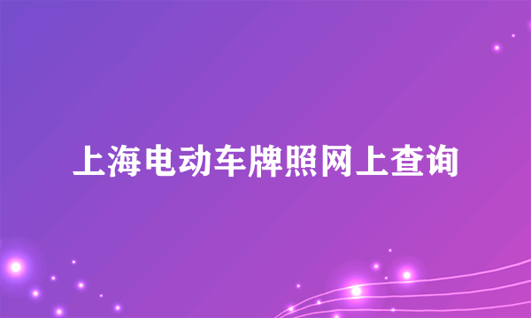 上海电动车牌照网上查询