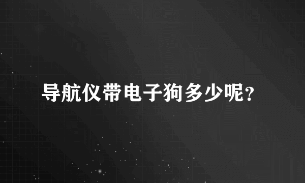 导航仪带电子狗多少呢？