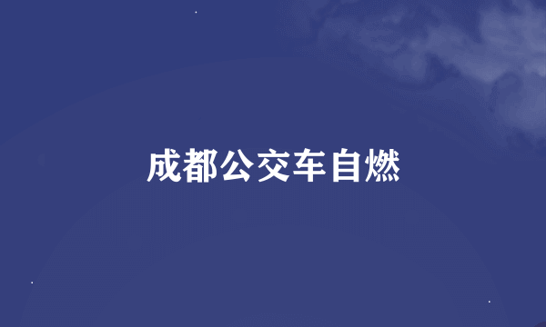 成都公交车自燃