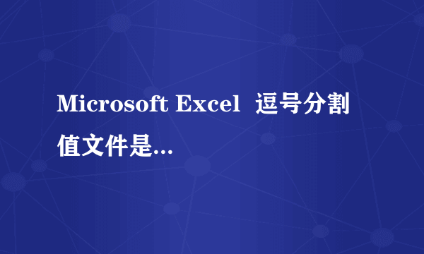 Microsoft Excel  逗号分割值文件是什么意思啊？