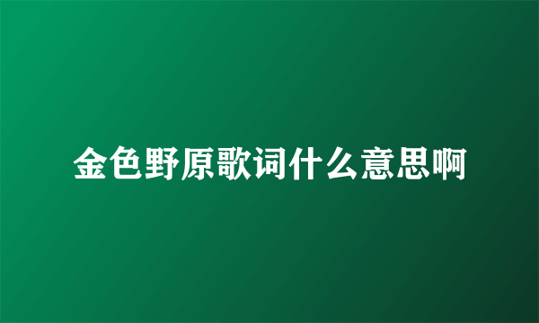 金色野原歌词什么意思啊