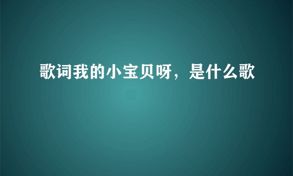 歌词我的小宝贝呀，是什么歌