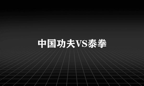 中国功夫VS泰拳