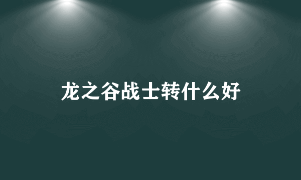 龙之谷战士转什么好