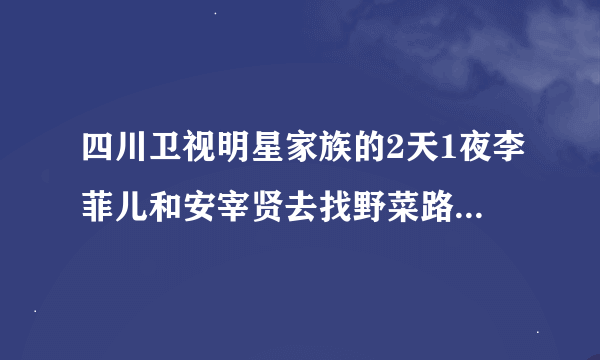 四川卫视明星家族的2天1夜李菲儿和安宰贤去找野菜路上放的那首韩文歌叫什么,求告知