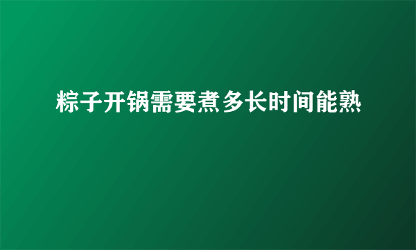 粽子开锅需要煮多长时间能熟