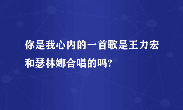 你是我心内的一首歌是王力宏和瑟林娜合唱的吗?