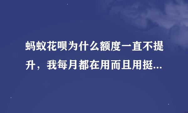 蚂蚁花呗为什么额度一直不提升，我每月都在用而且用挺多我也从来不违约。求解？