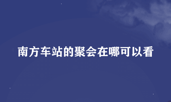 南方车站的聚会在哪可以看