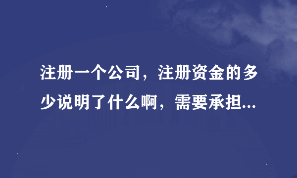 注册一个公司，注册资金的多少说明了什么啊，需要承担什么责任啊