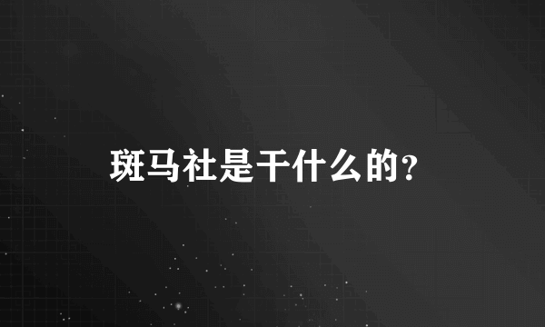 斑马社是干什么的？