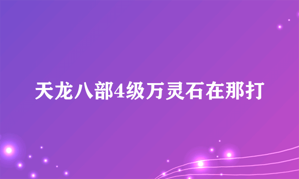 天龙八部4级万灵石在那打