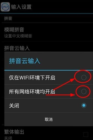 讯飞输入法怎么打字在输入框里显示拼音？