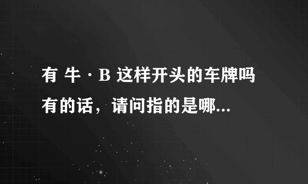 有 牛·B 这样开头的车牌吗 有的话，请问指的是哪个地方~~！~