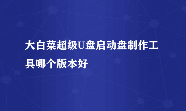 大白菜超级U盘启动盘制作工具哪个版本好