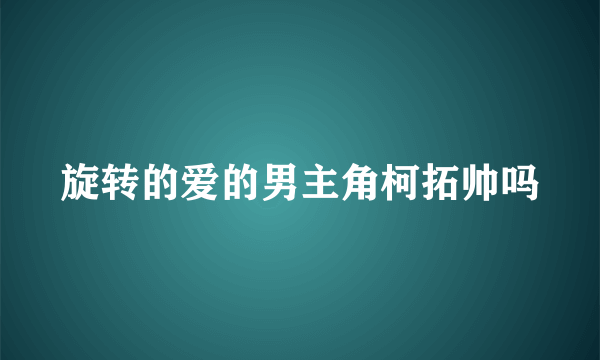 旋转的爱的男主角柯拓帅吗