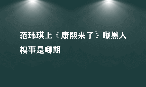 范玮琪上《康熙来了》曝黑人糗事是哪期