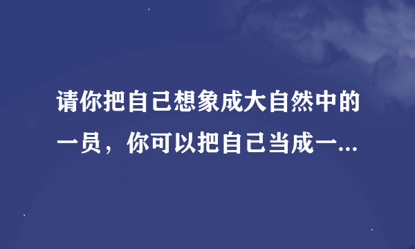 请你把自己想象成大自然中的一员，你可以把自己当成一种植物或一种动物，也可以当成一种自然现象；400字