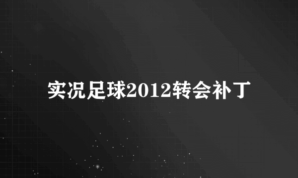 实况足球2012转会补丁