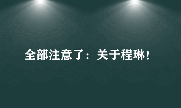 全部注意了：关于程琳！