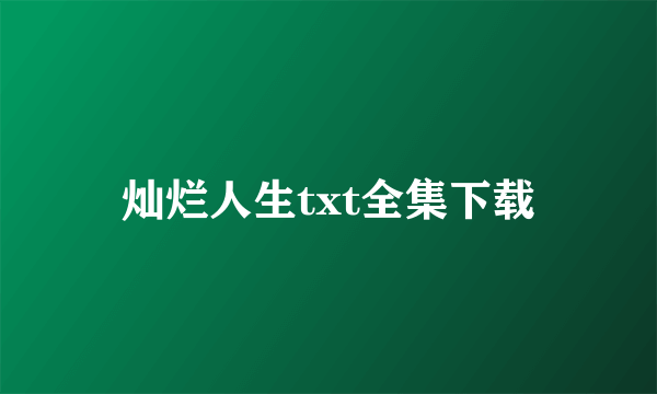 灿烂人生txt全集下载