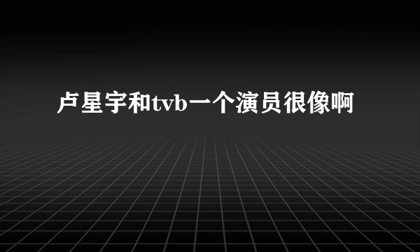 卢星宇和tvb一个演员很像啊